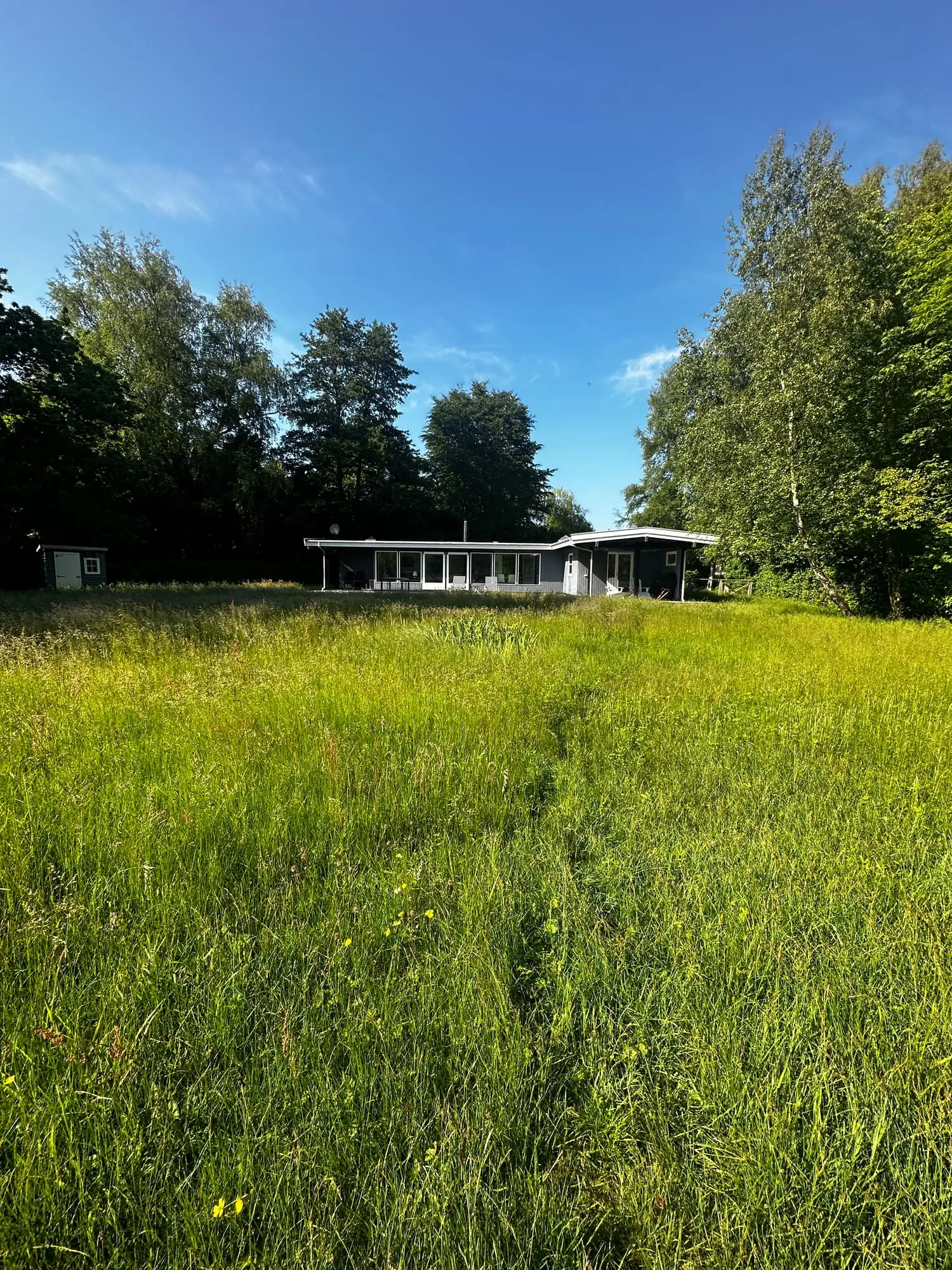 Sommerhus bag en plæne med græs i knæhøjde