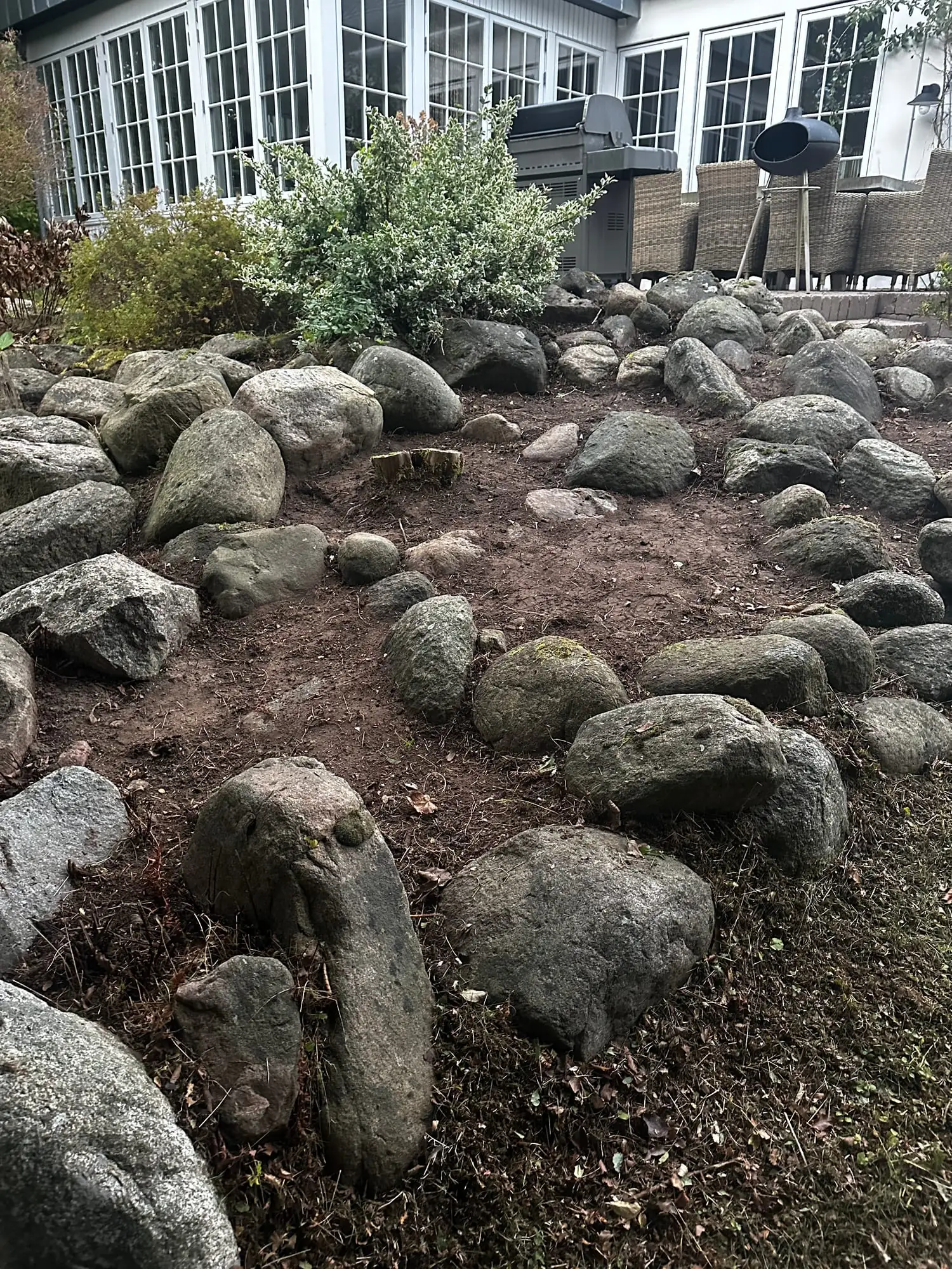 Stenbed med store kampesten hvor visne bregner og ukrudt er fjernet, og jorden er revet